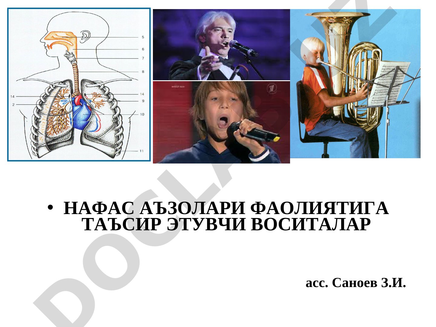 Нафас аъзолари фаолиятига таъсир этувчи воситалар