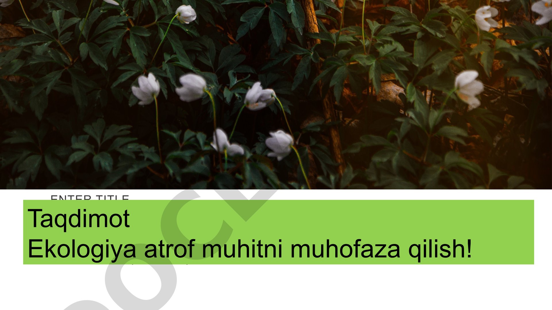 Ekologiya atrof muhitni muhofaza qilish!