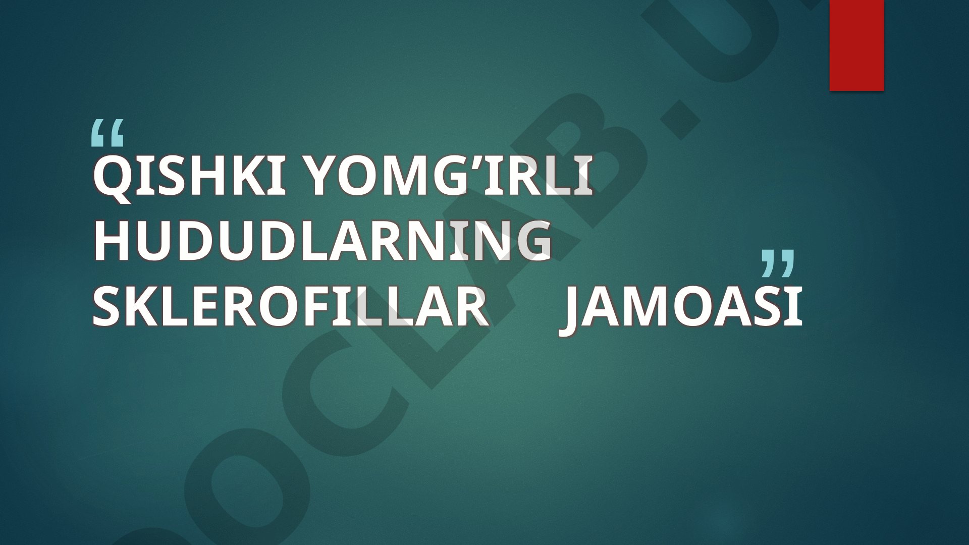 Qishki yomg'irli hududlarning sklerofillar jamoasi