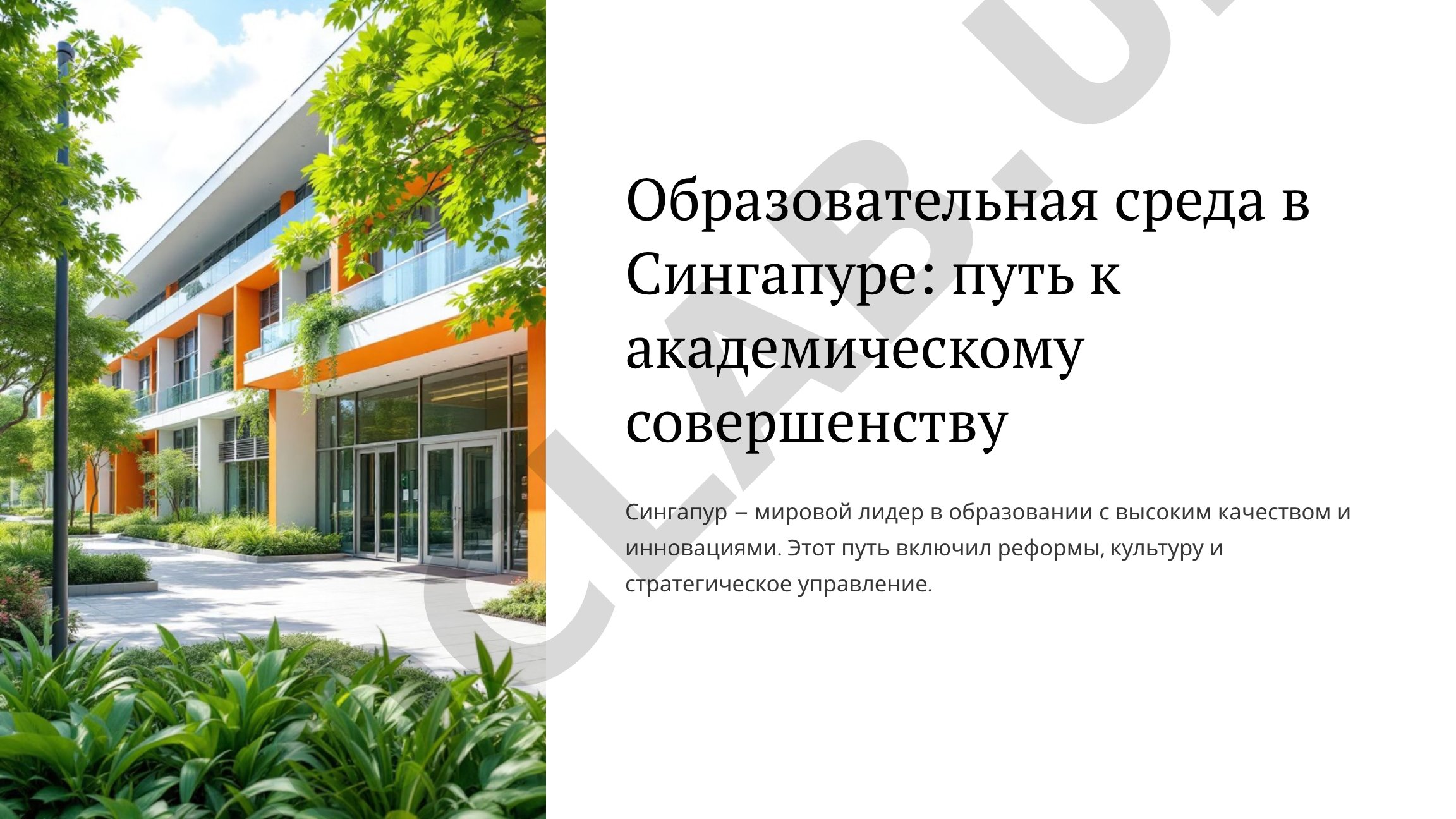 Образовательная среда в Сингапуре: путь к академическому совершенству