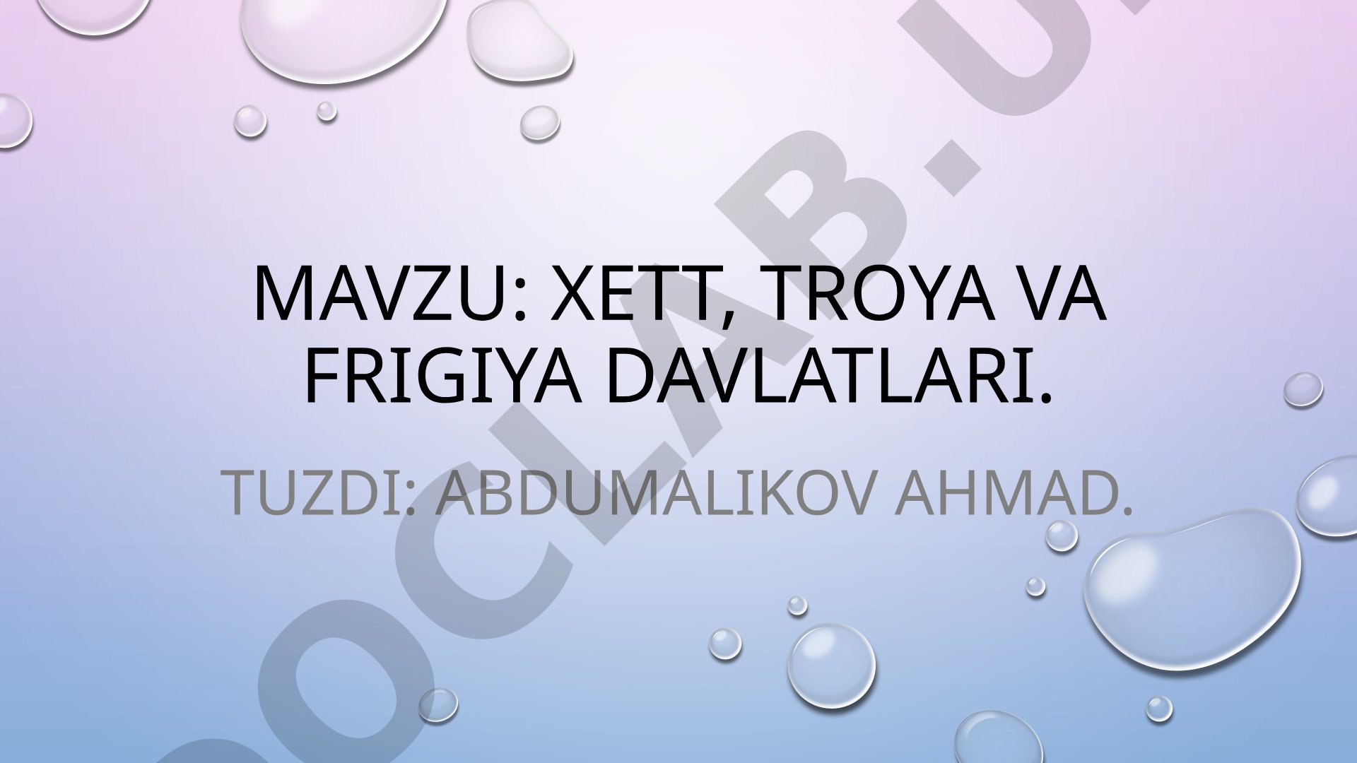 Xett, Troya va Frigiya davlatlari