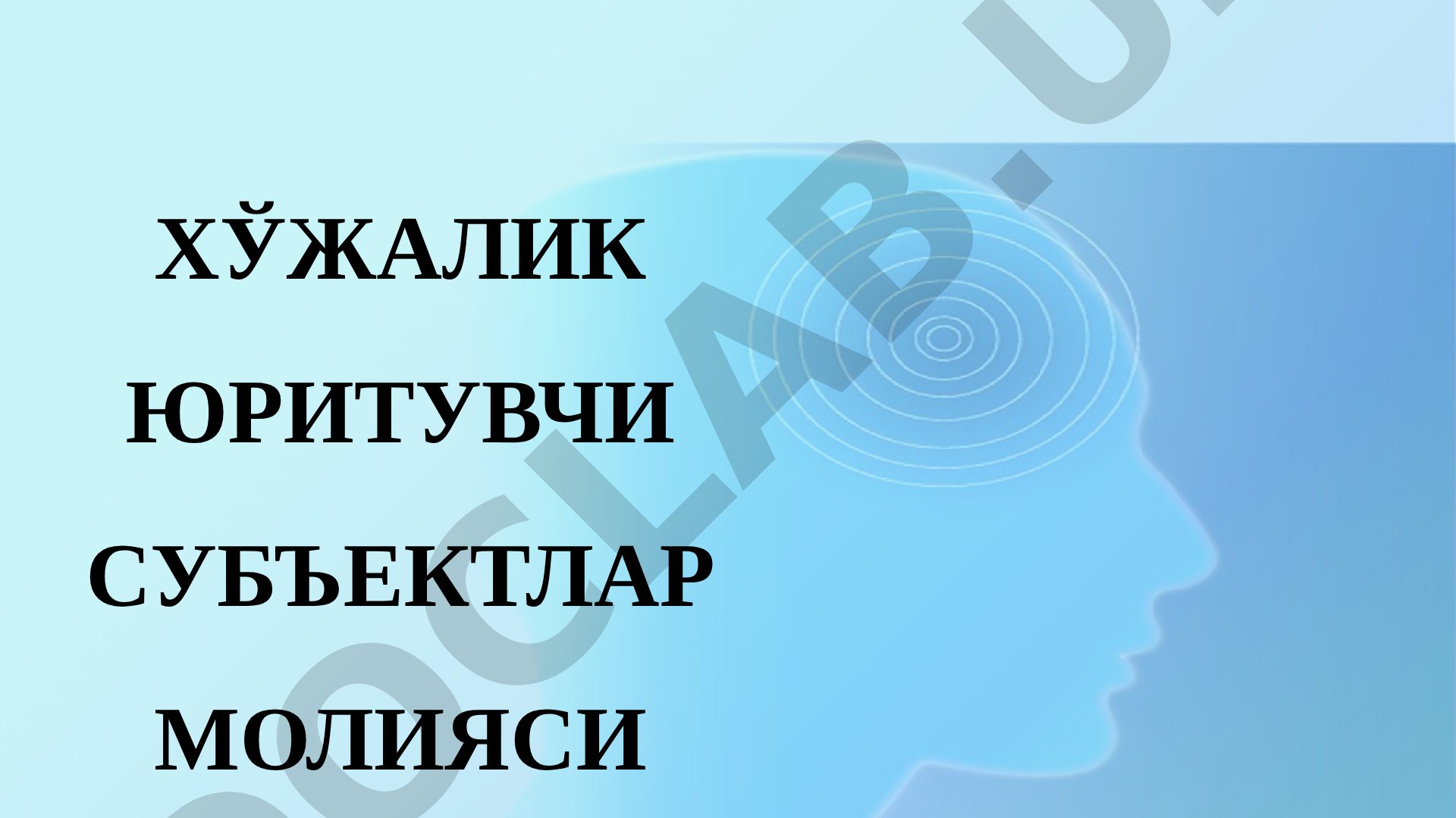 ХЎЖАЛИК ЮРИТУВЧИ СУБЪЕКТЛАР МОЛИЯСИ