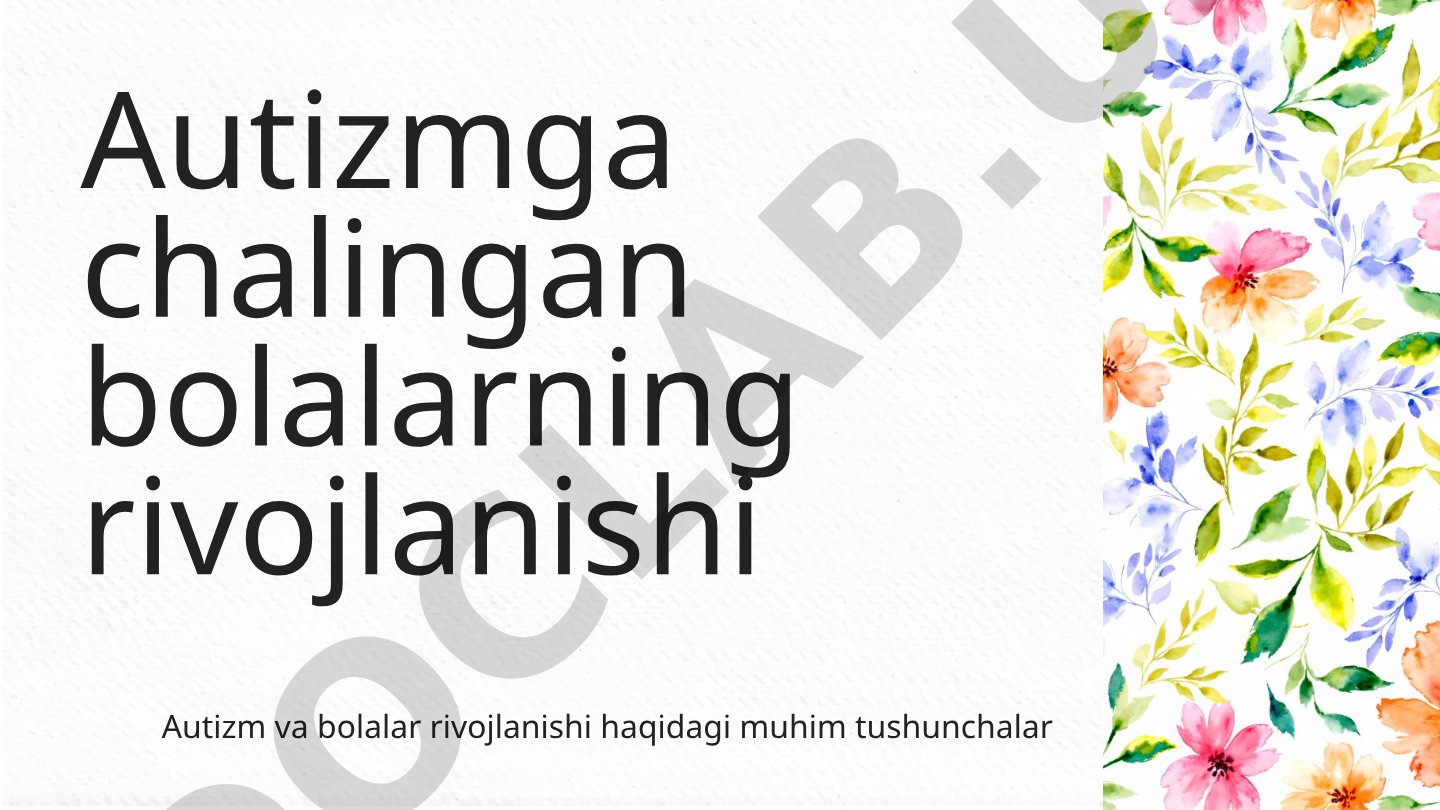 Autizm va bolalar rivojlanishi haqidagi muhim tushunchalar