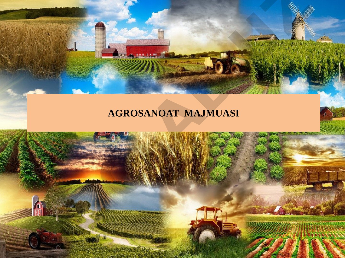 Agrosanoat majmuasi