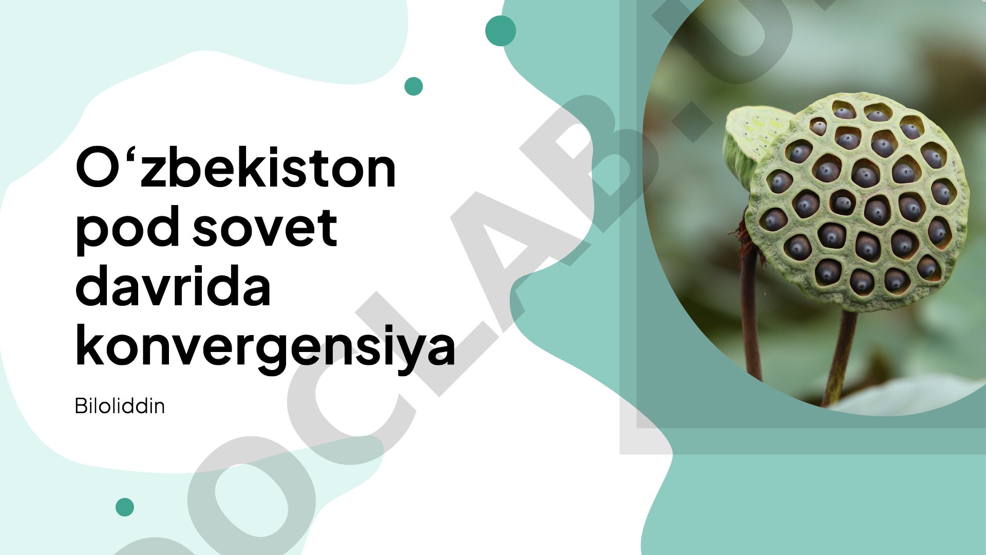 O‘zbekiston pod sovet davrida konvergensiya