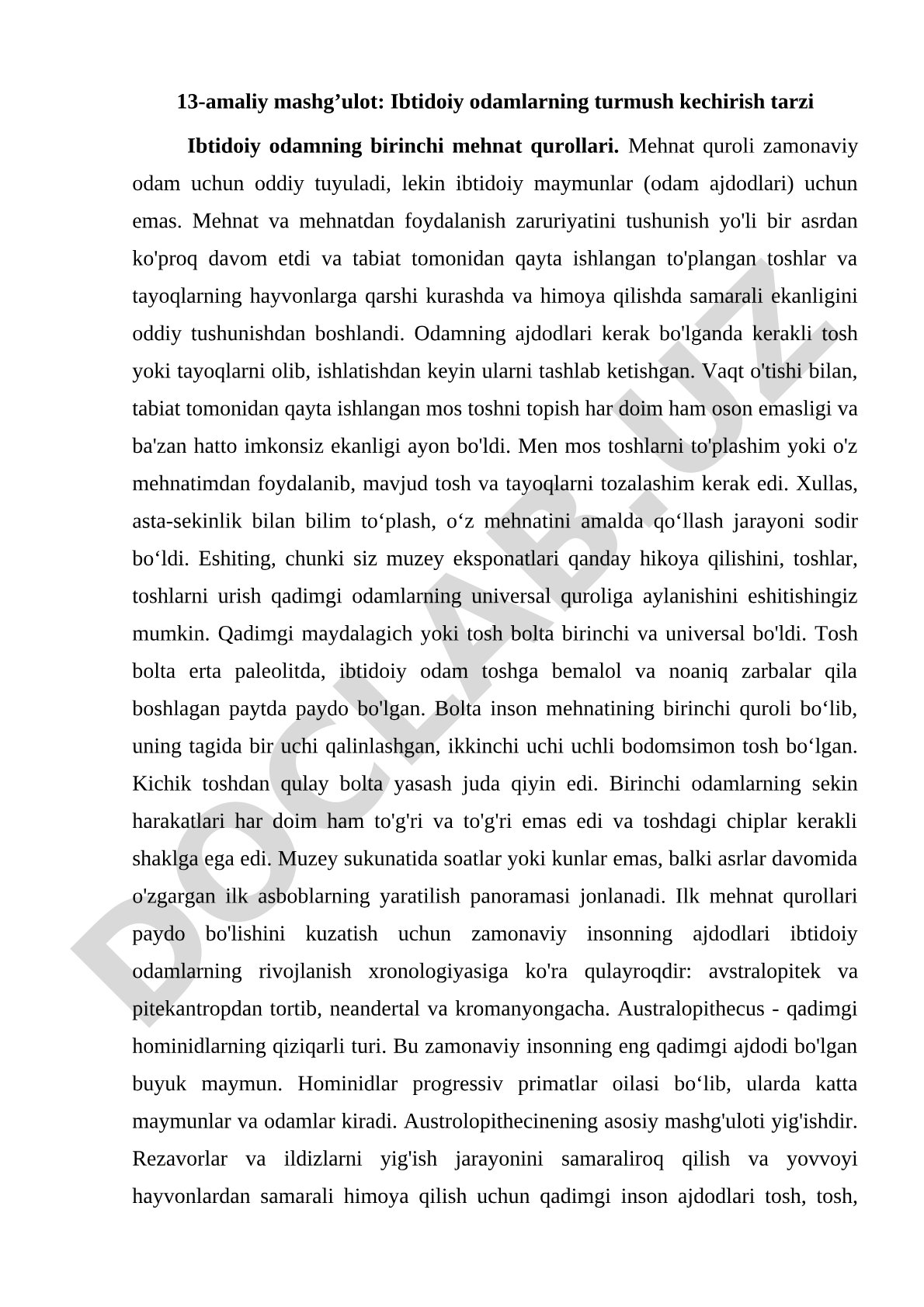 Ibtidoiy odamlarning turmush kechirish tarzi va mehnat qurollari