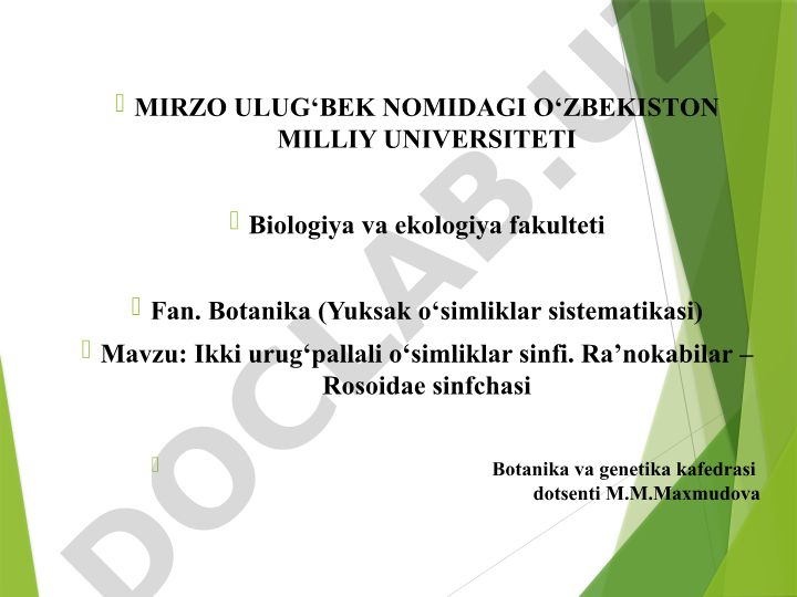 Ikki urug‘pallali o‘simliklar sinfi. Ra’nokabilar – Rosoidae sinfchasi