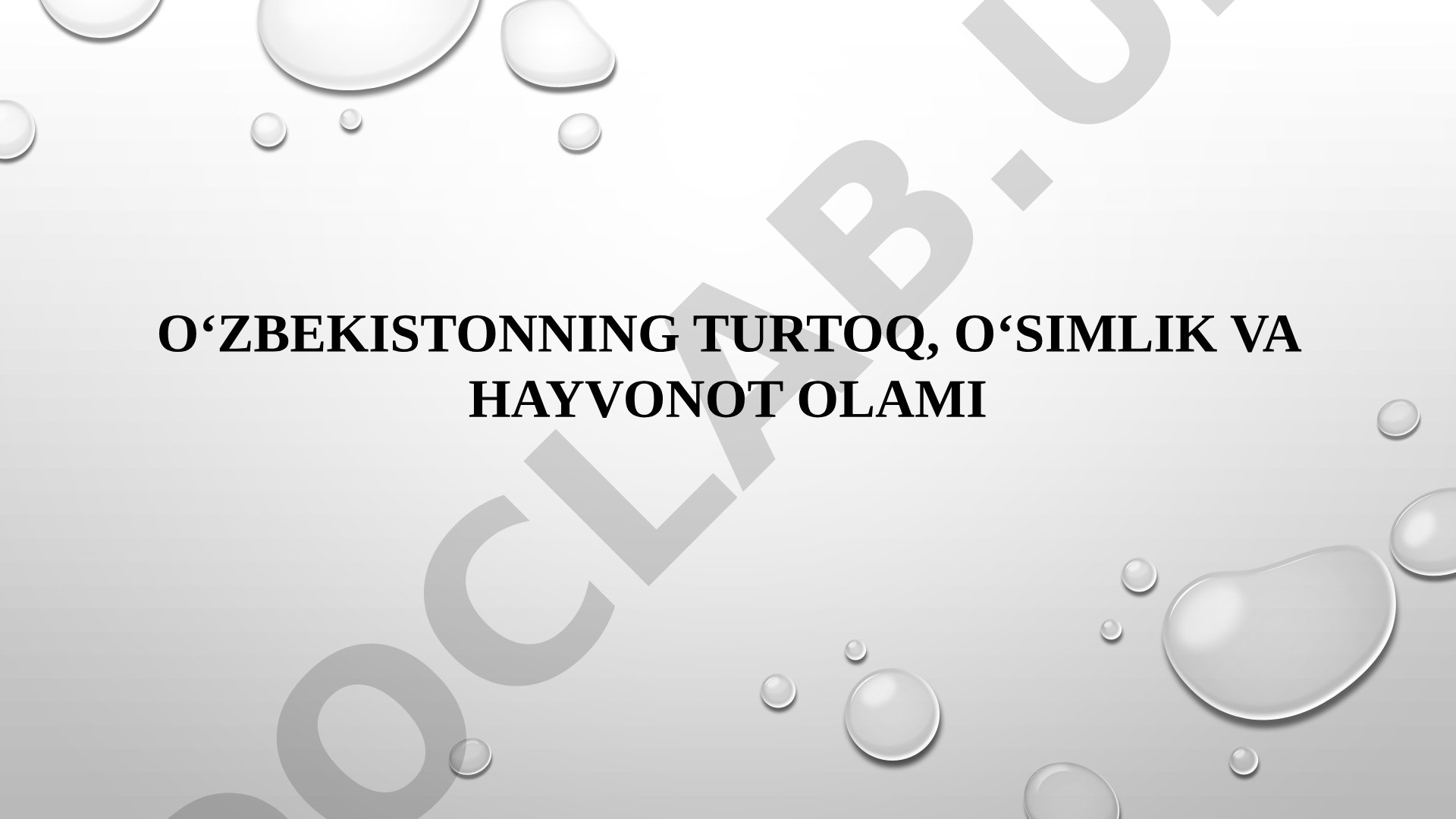 O'zbekistonning tuproq, o'simlik va hayvonot olami
