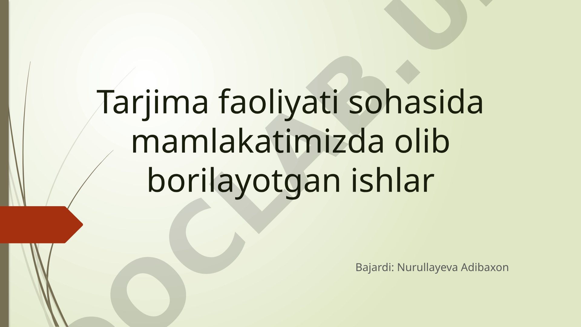 Tarjima faoliyati sohasida mamlakatimizda olib borilayotgan ishlar