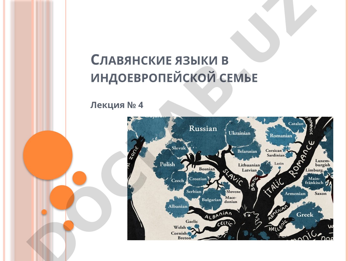 Славянские языки в индоевропейской семье