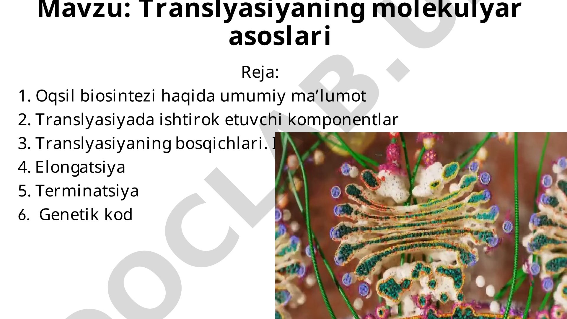 Translyasiyaning molekulyar asoslari