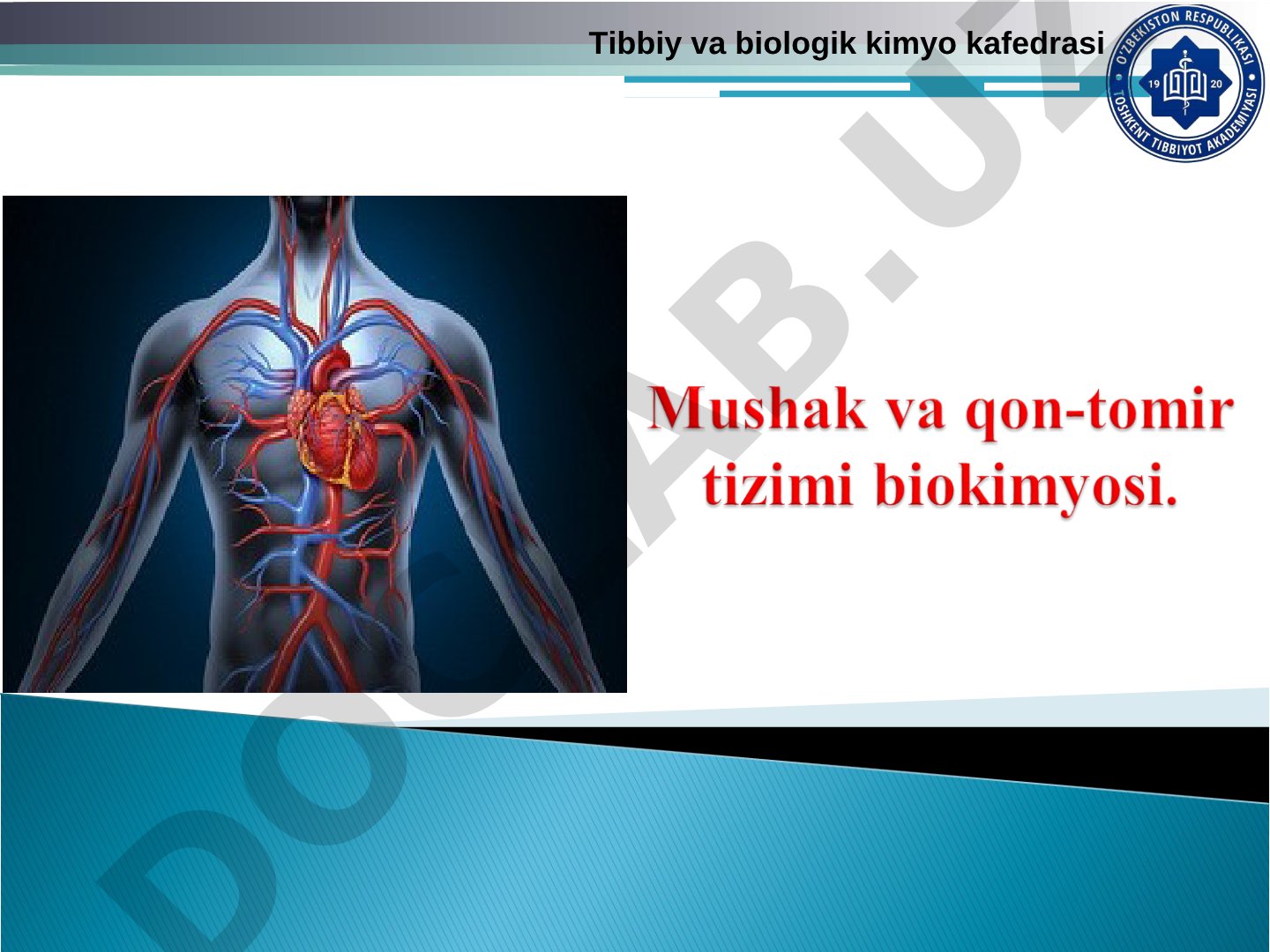 Mushak va qon-tomir tizimi biokimyosi
