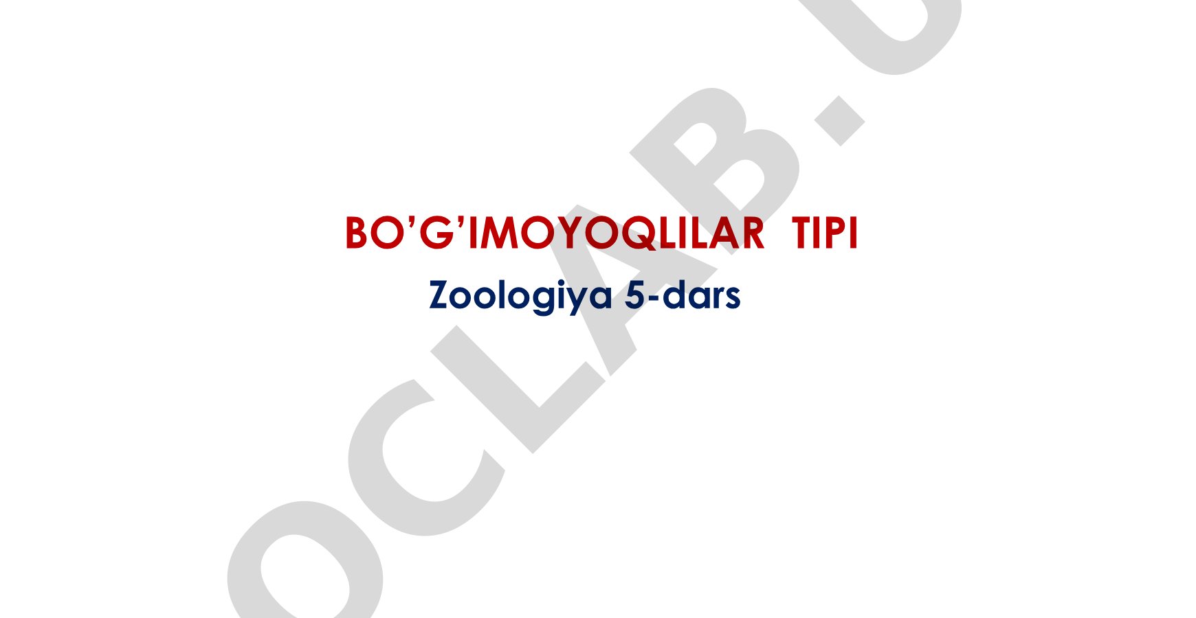 Bo'g'imoyoqlilar tipi