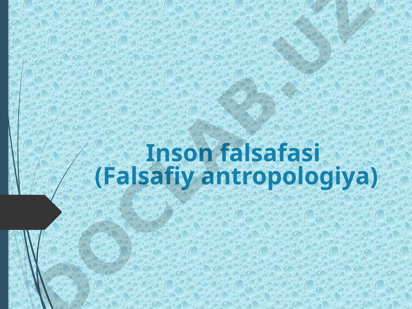 Inson falsafasi (Falsafiy antropologiya)