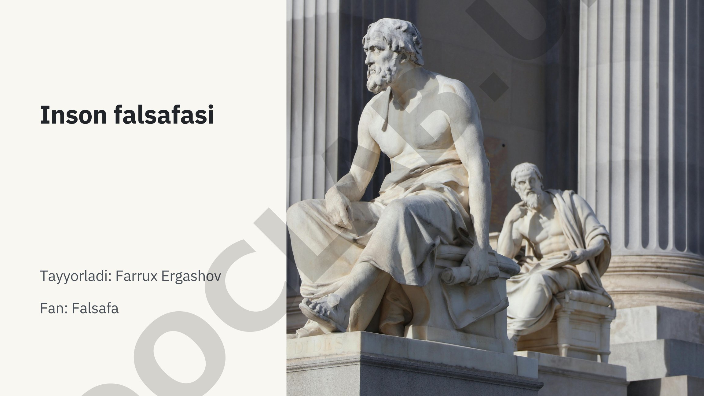 Inson falsafasi
