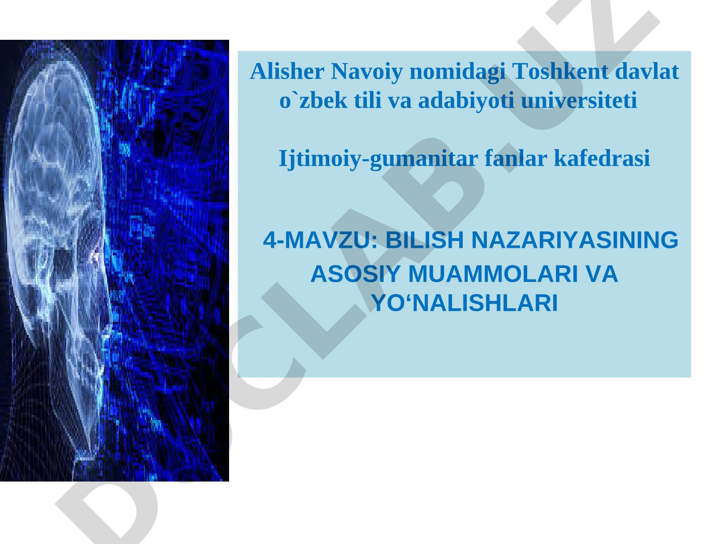 BILISH NAZARIYASINING ASOSIY MUAMMOLARI VA YO‘NALISHLARI