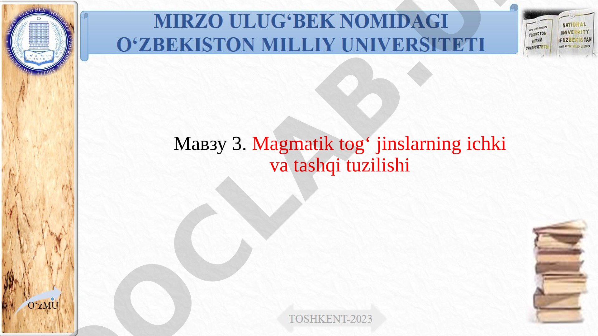 Magmatik tog‘ jinslarining ichki va tashqi tuzilishi