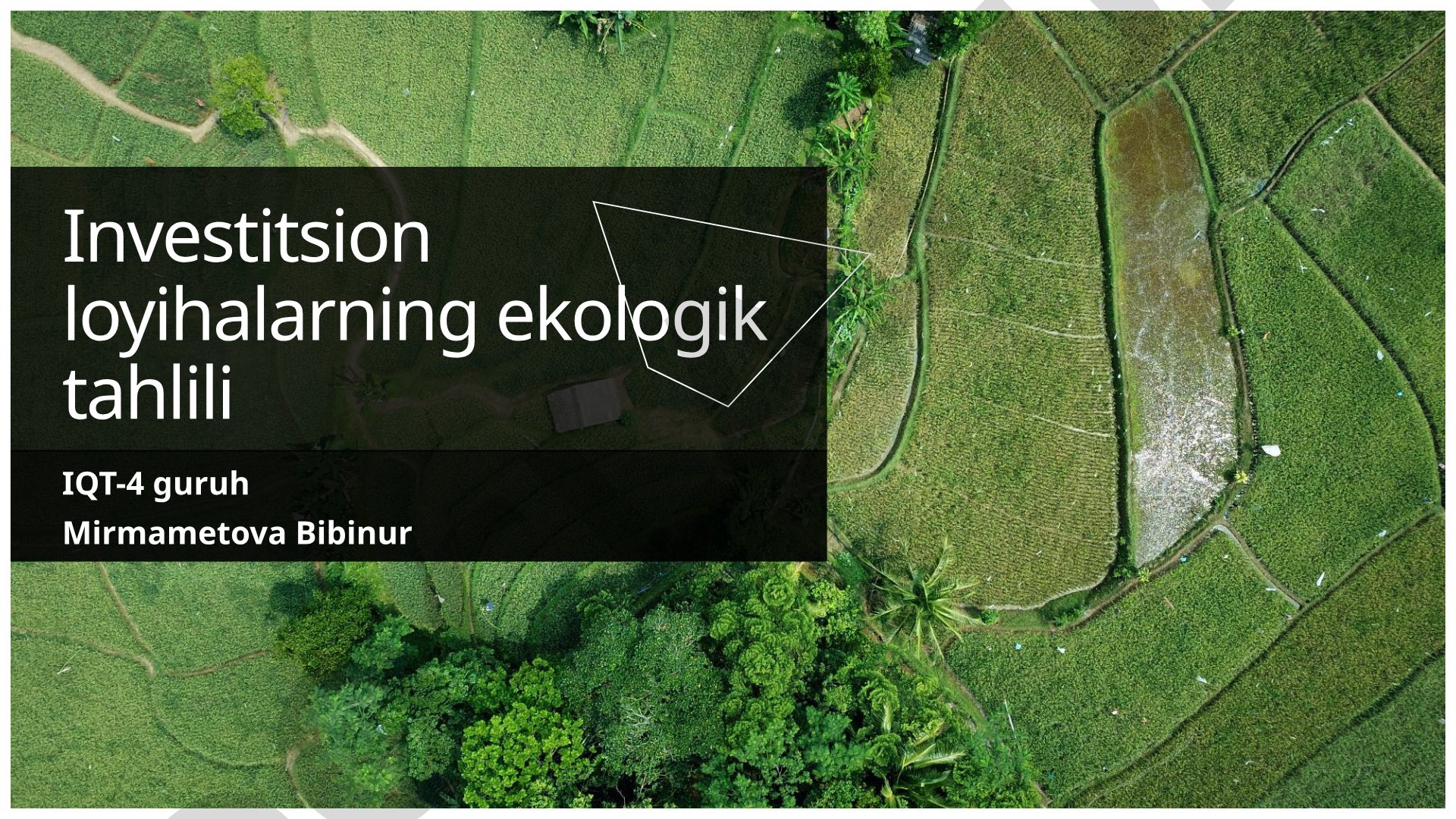 Investitsion loyihalarning ekologik tahlili