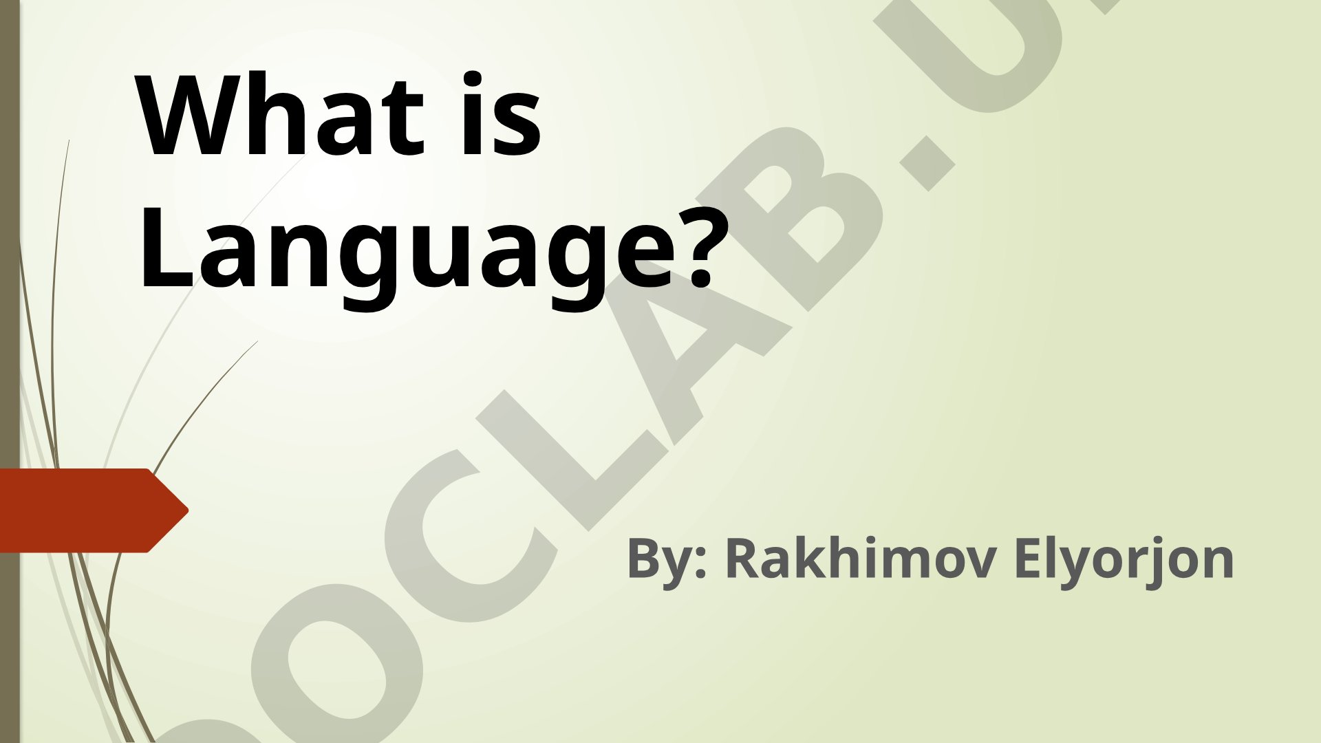 Defines language, its traits, functions, and differences from communication