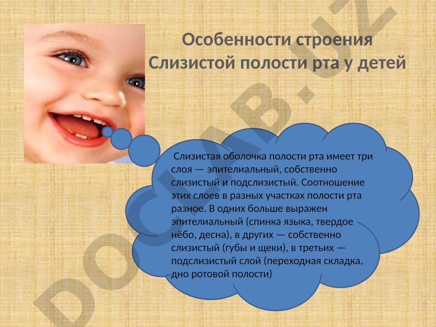 Строение слизистой оболочки полости рта у детей
