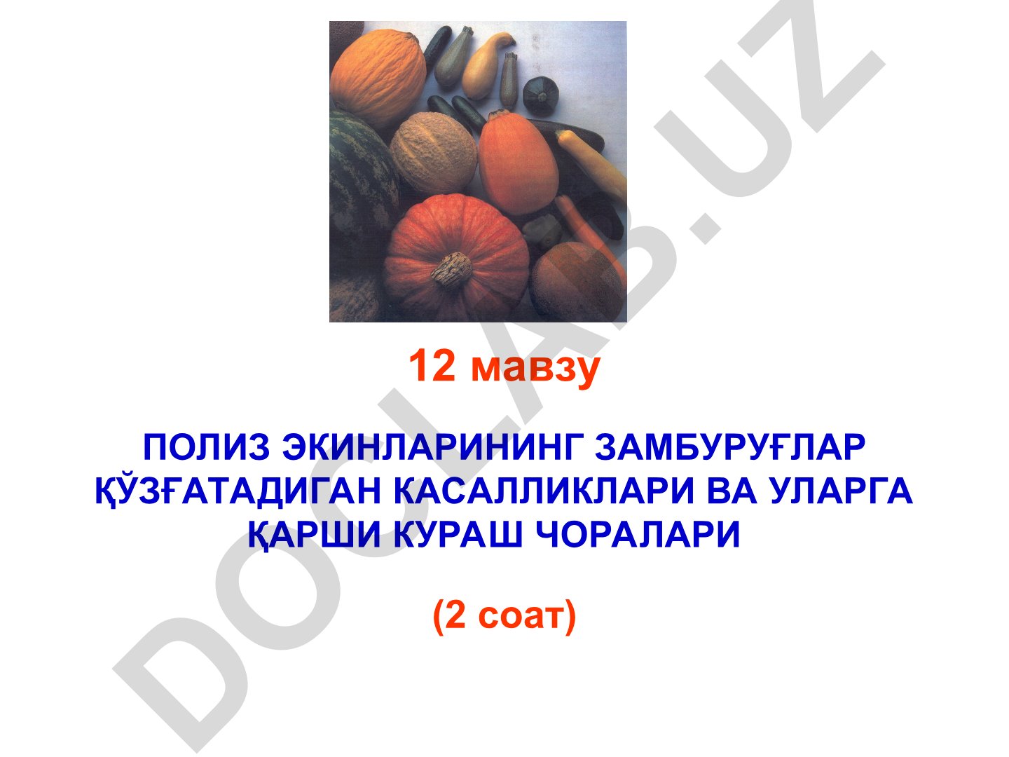 Полиз экинларининг замбуруғлар қўзғатадиган касалликлари ва уларга қарши кураш чоралари
