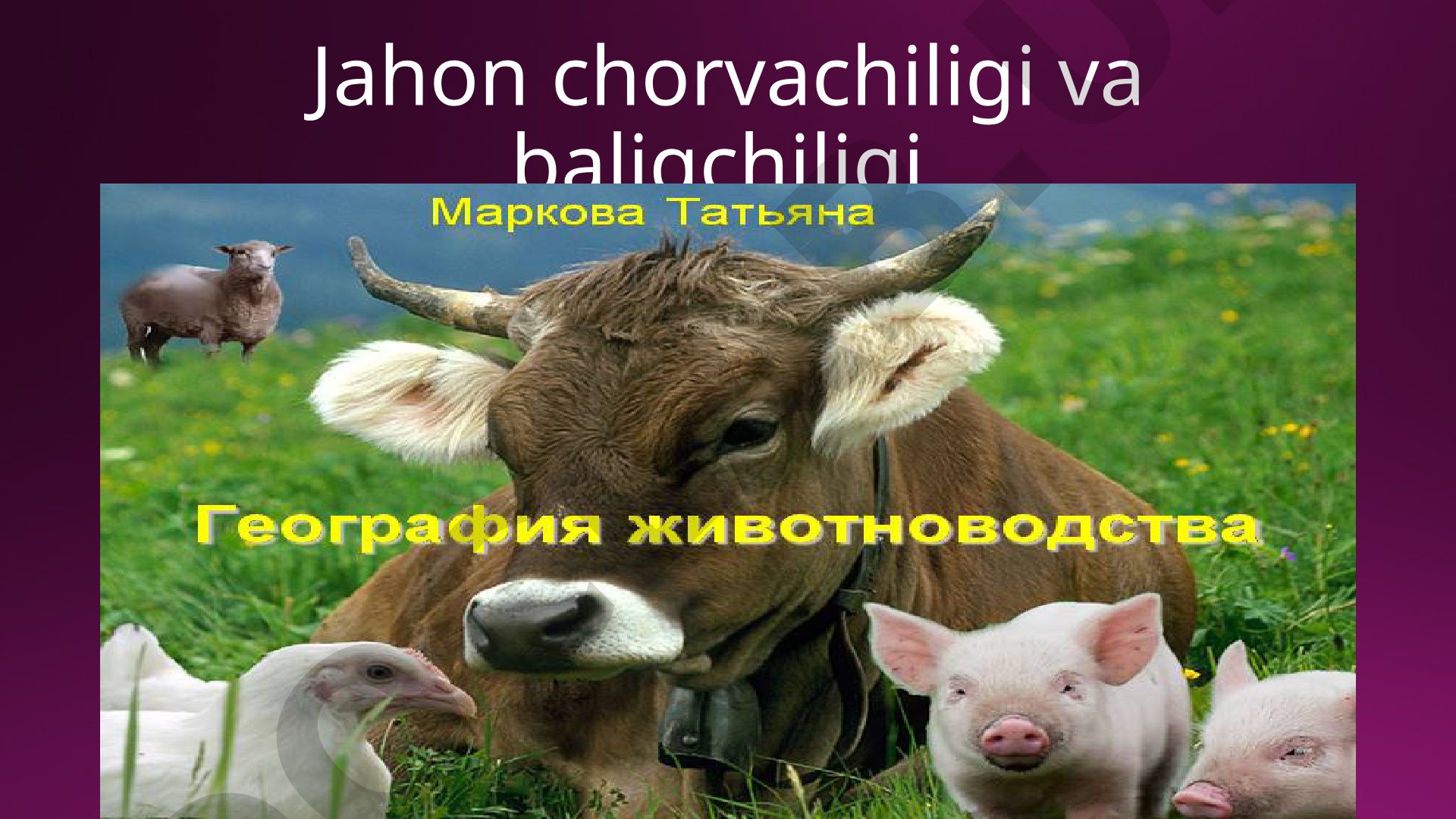 Jahon chorvachiligi va baliqchiligi