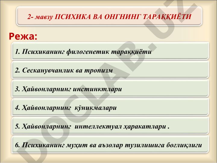 Психика ва онгнинг тараққиёти
