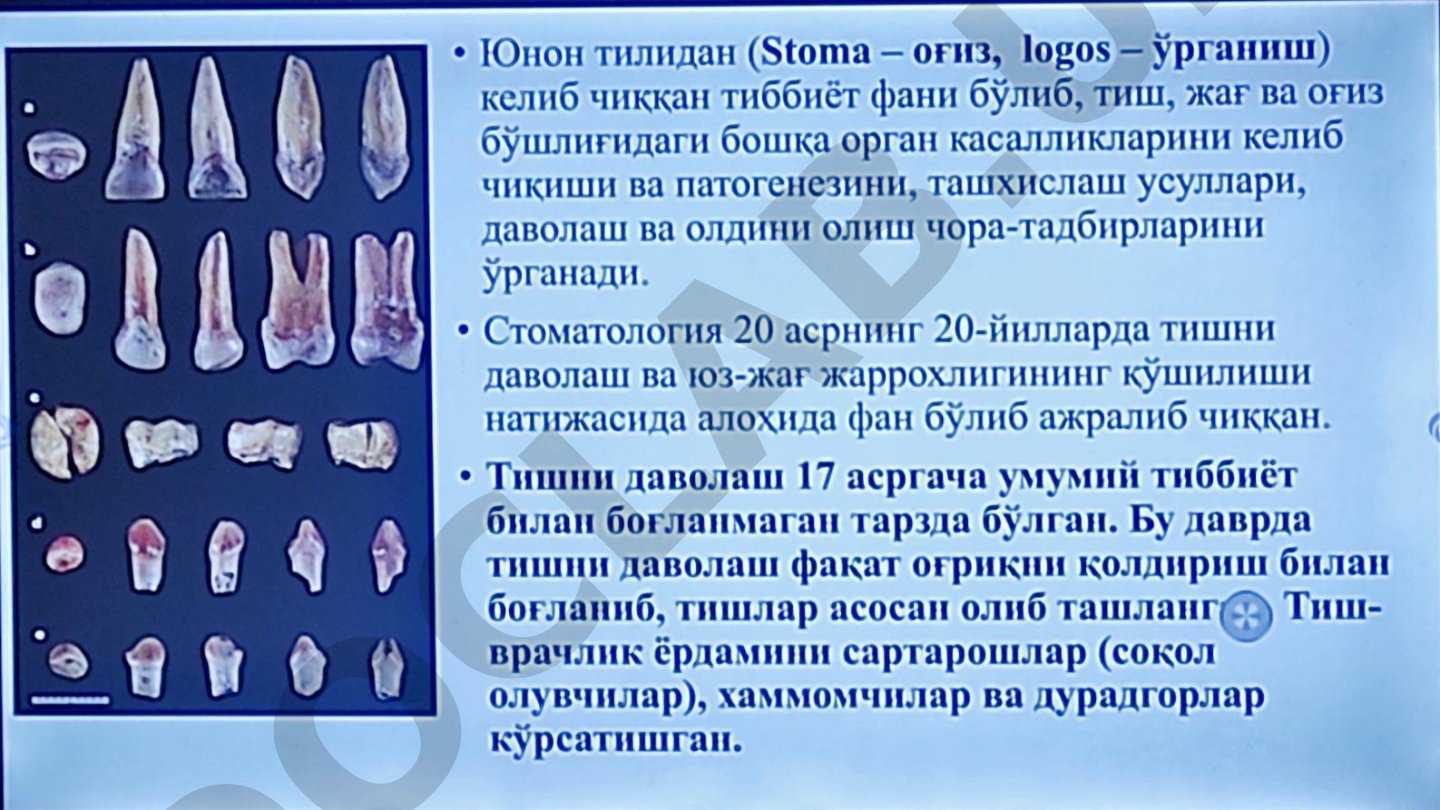 Стоматология тушунчаси ва тарихи