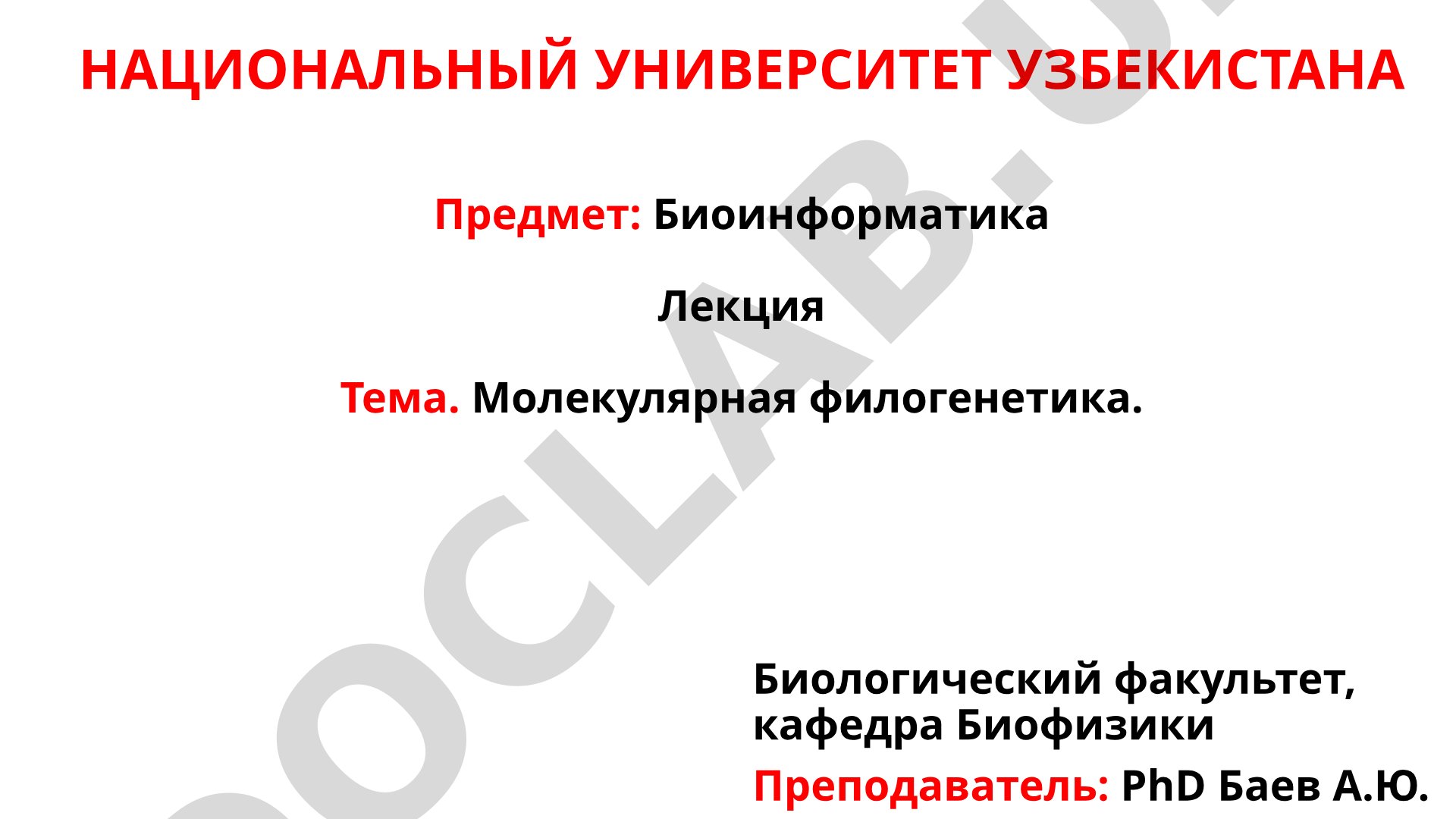 Молекулярная филогенетика