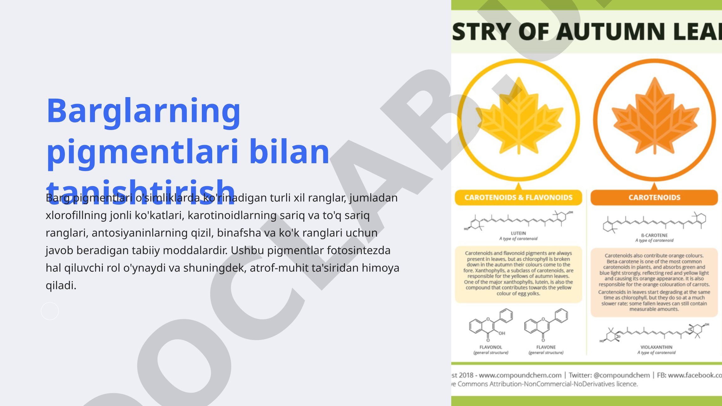 Barglarning pigmentlari bilan tanishtirish