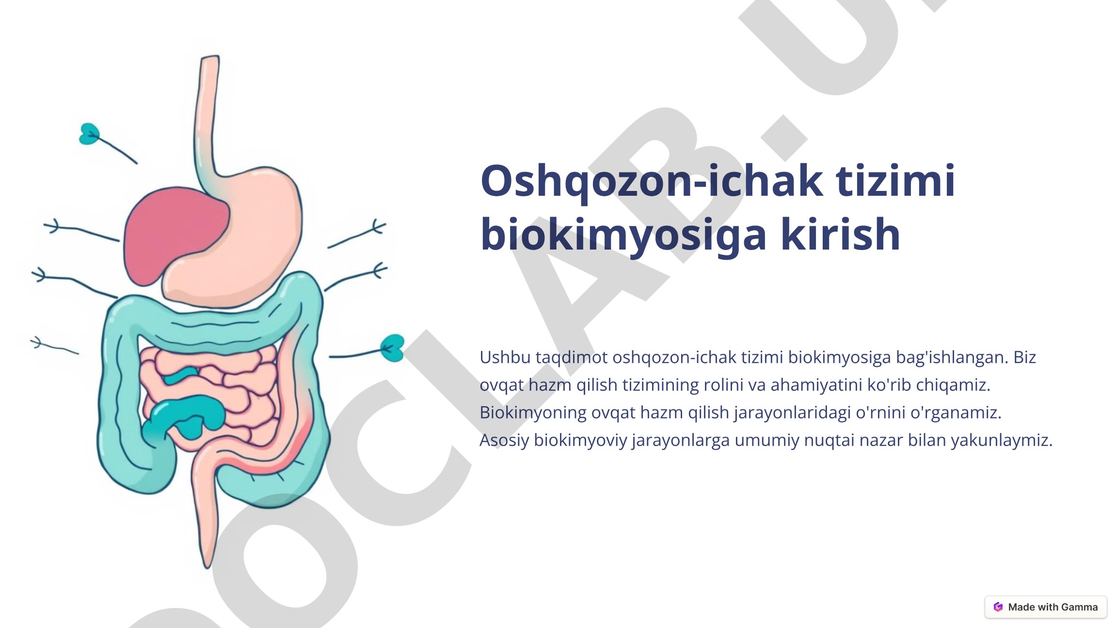 Oshqozon-ichak tizimi biokimyosiga kirish