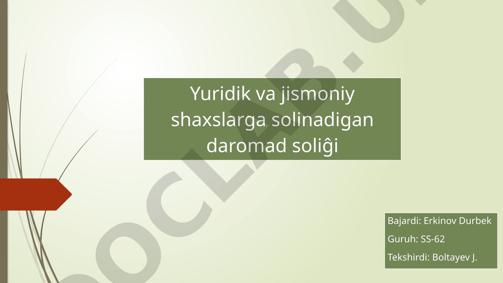 Yuridik va jismoniy shaxslarga solinadigan daromad solig'i