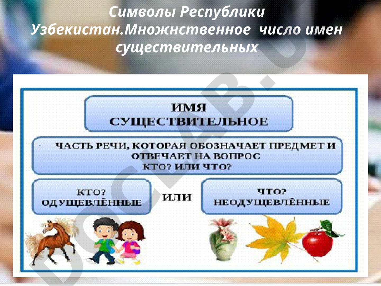 Символы Республики Узбекистан. Множественное число имен существительных