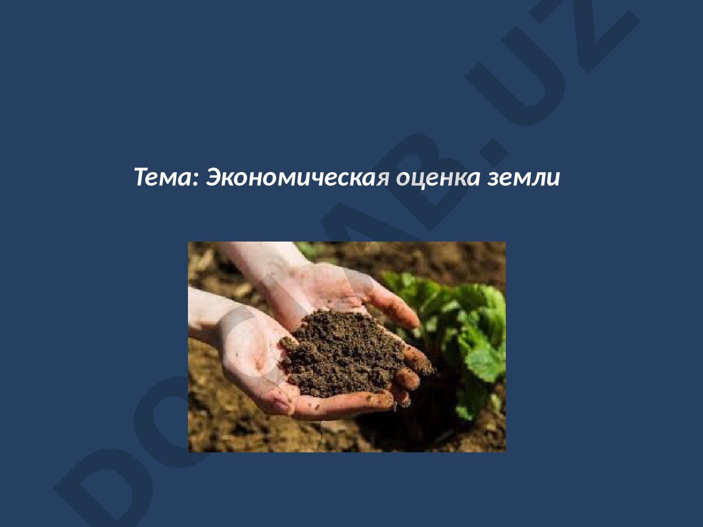 Экономическая оценка земли