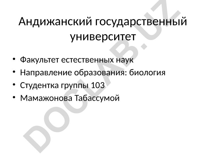 Глаголы в русском языке: определение, спряжение и типы