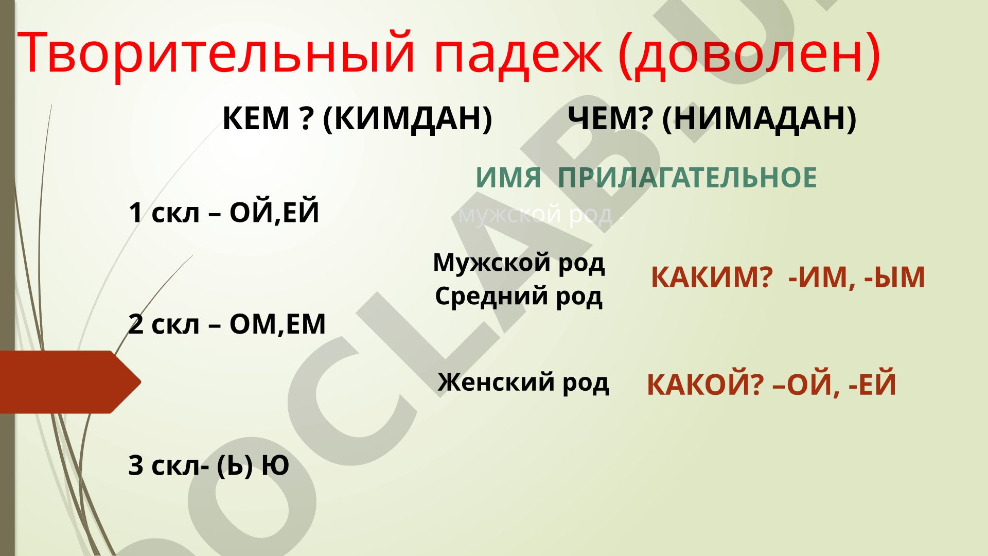 Творительный падеж в русском языке