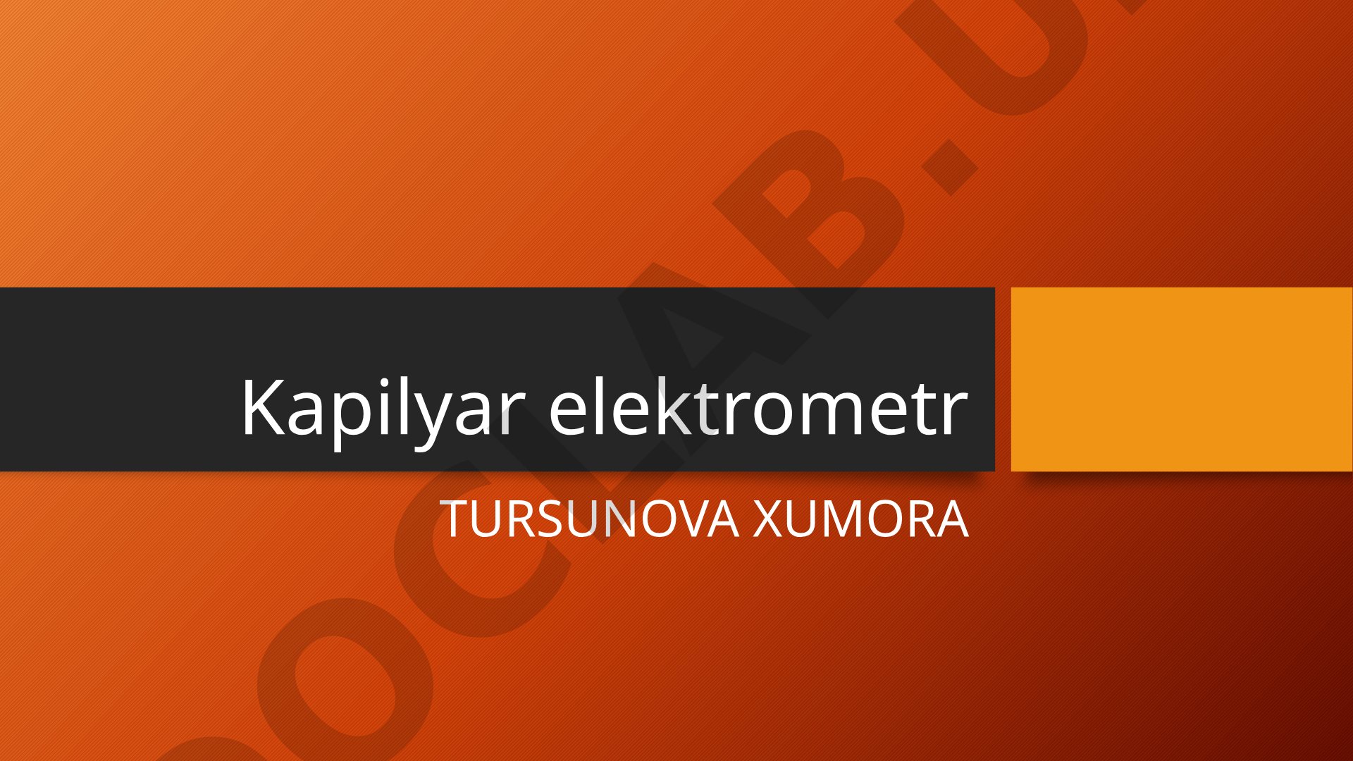 Kapillyar elektrometr