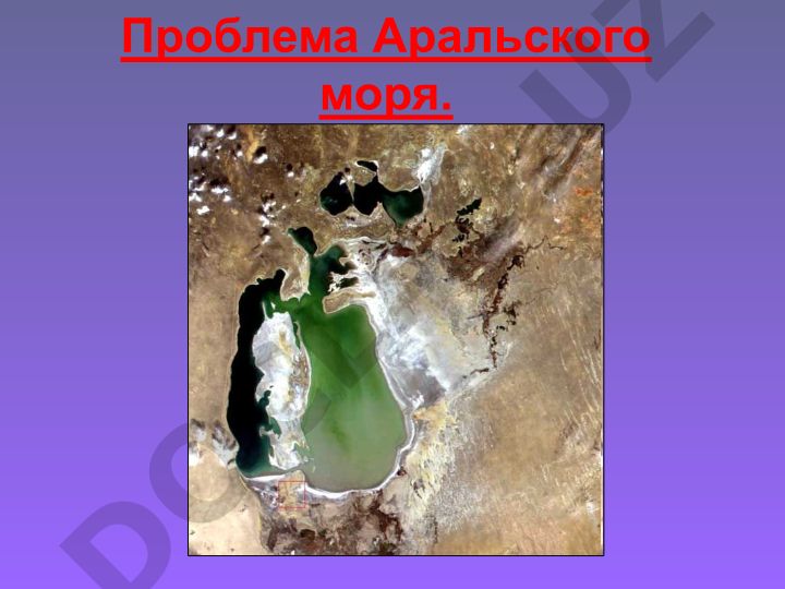 Проблема Аральского моря