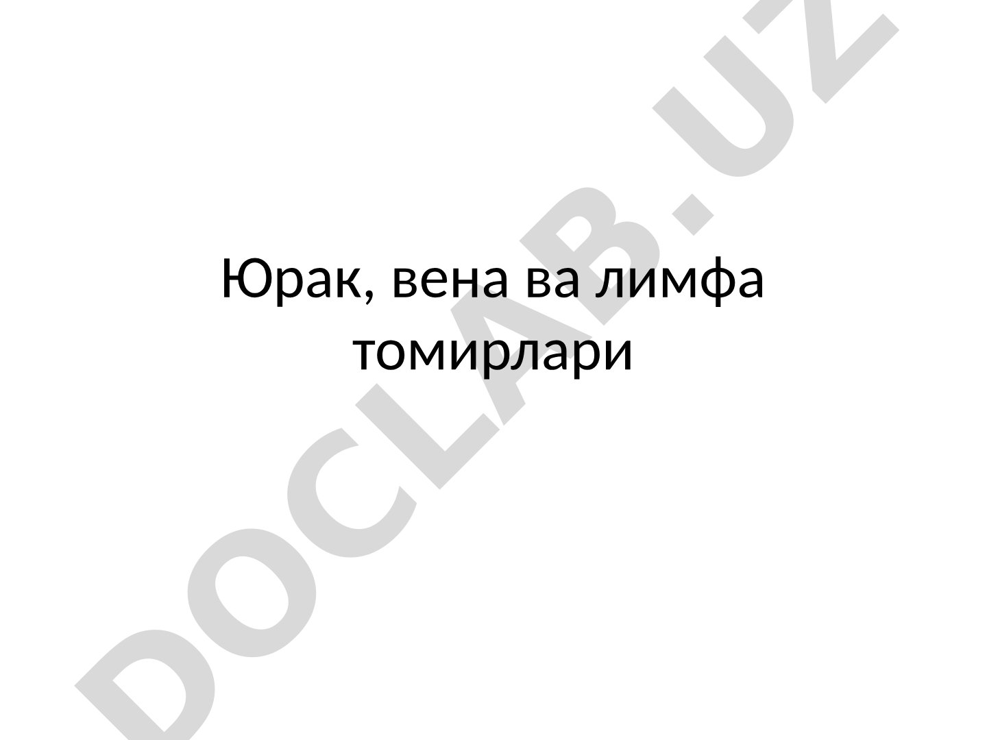 Юрак, вена ва лимфа томирлари