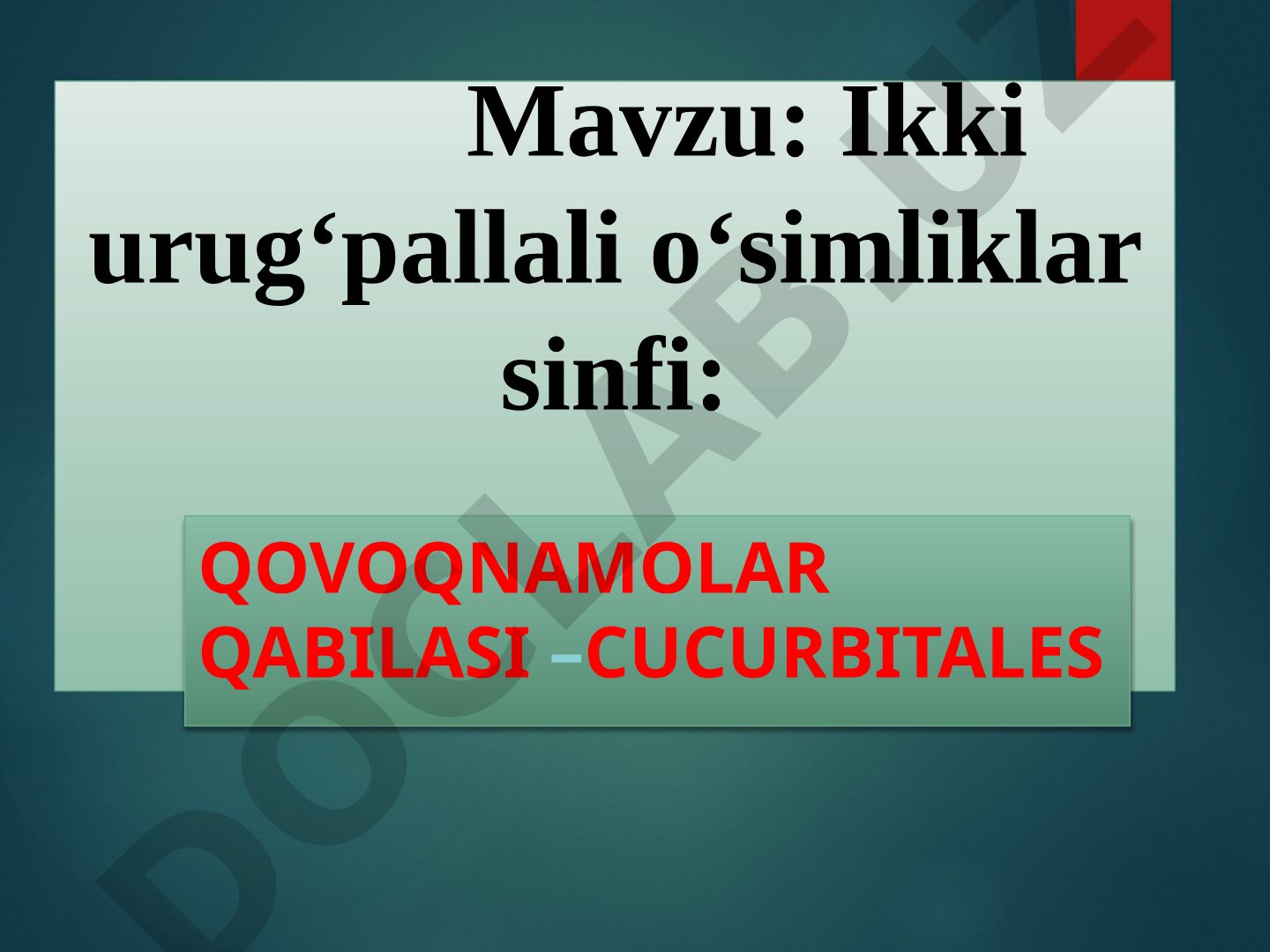Ikki urug‘pallali o‘simliklar sinfi: Qovoqnamolar qabilasi – Cucurbitales