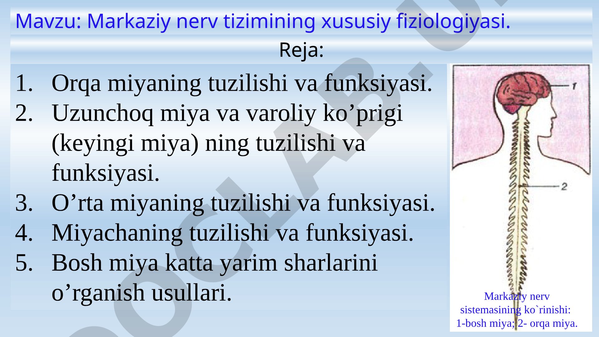 Markaziy nerv tizimining xususiy fiziologiyasi. Orqa miyaning tuzilishi va funksiyasi. Uzunchoq miya va varoliy ko’prigi (keyingi miya) ning tuzilishi va funksiyasi. O’rta miyaning tuzilishi va funksiyasi. Miyachaning tuzilishi va funksiyasi. Bosh miya katta yarim sharlarini o’rganish usullari