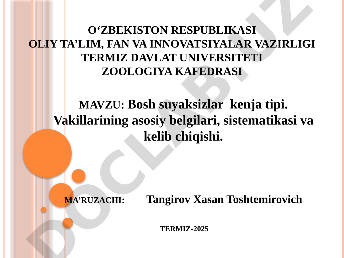 Bosh suyaksizlar kenja tipi. Vakillarining asosiy belgilari, sistematikasi va kelib chiqishi