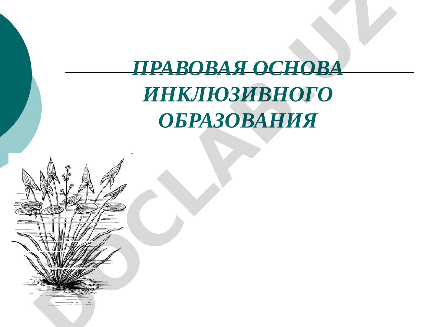 Правовая основа инклюзивного образования