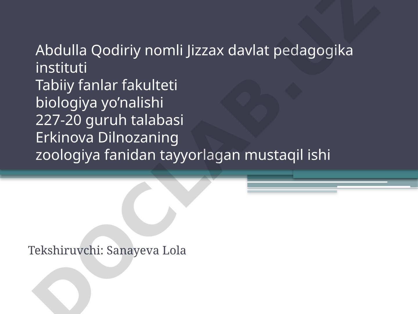 Churrak (Anas crecca) zoologik tavsifi