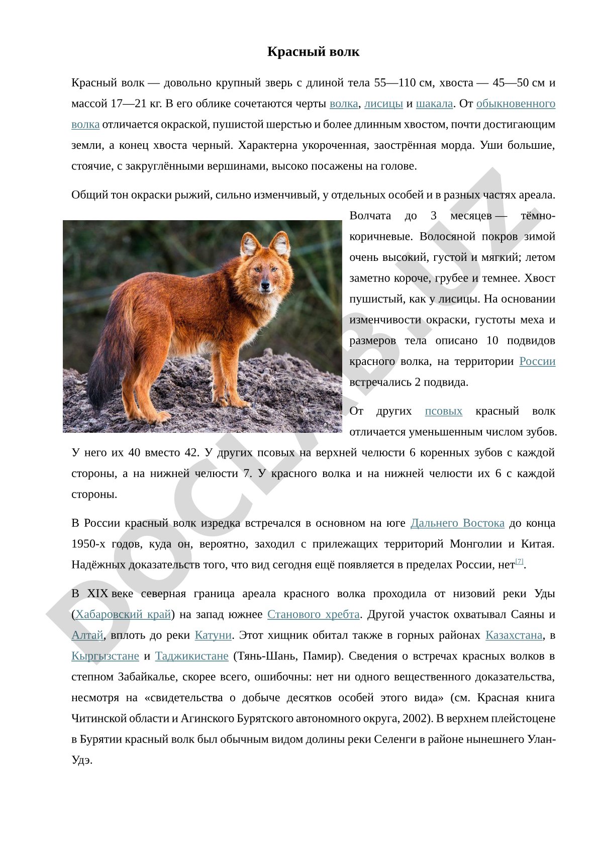 Внешность, размеры, зубы и распространение красного волка