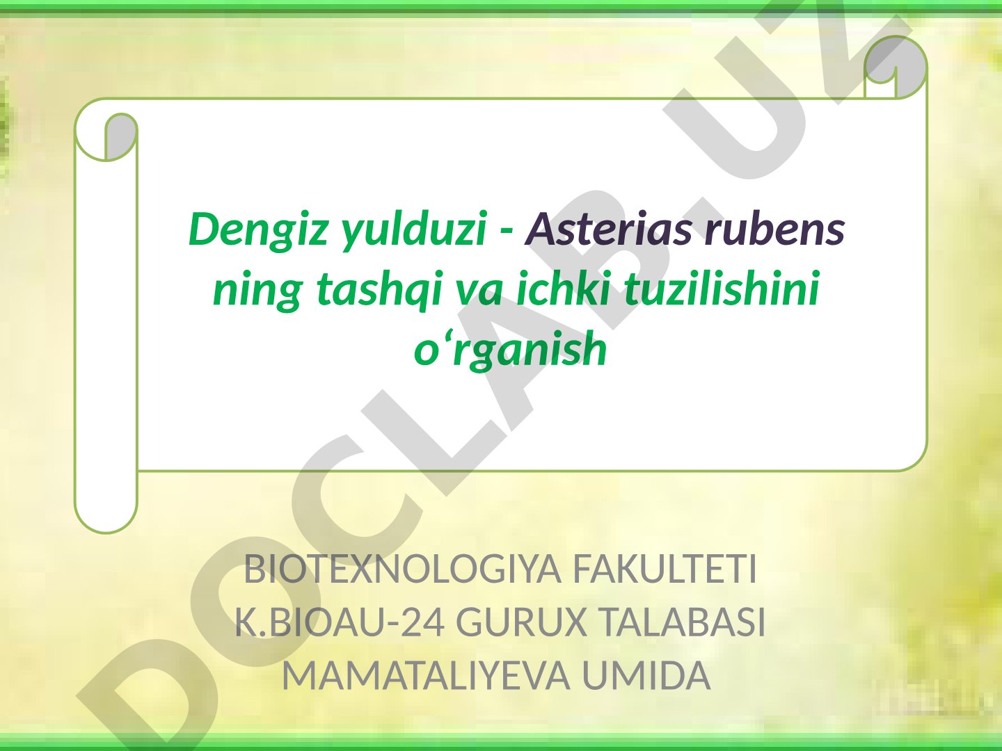 Dengiz yulduzi Asterias rubensning tashqi va ichki tuzilishi