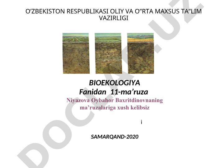 BIOEKOLOGIYA fanidan 11-ma'ruza