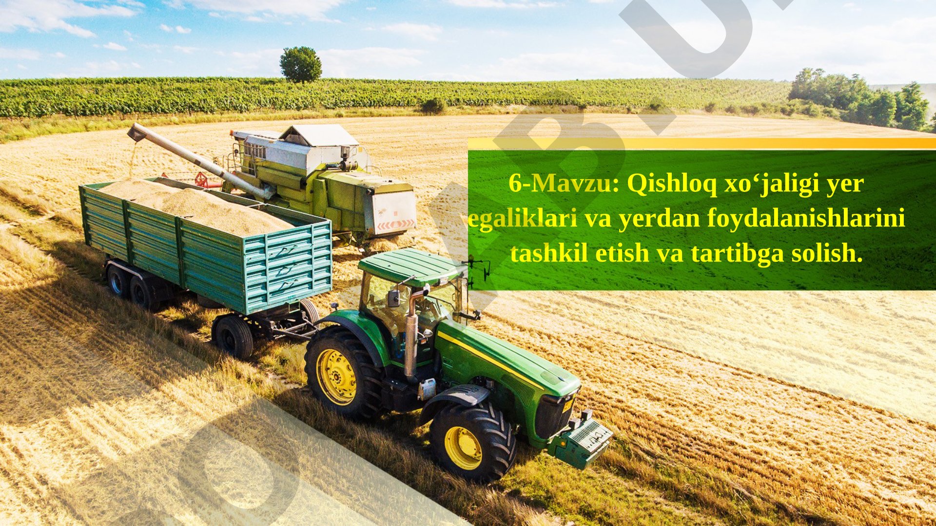 Qishloq xo‘jaligi yer egaliklari va yerdan foydalanishlarini tashkil etish va tartibga solish