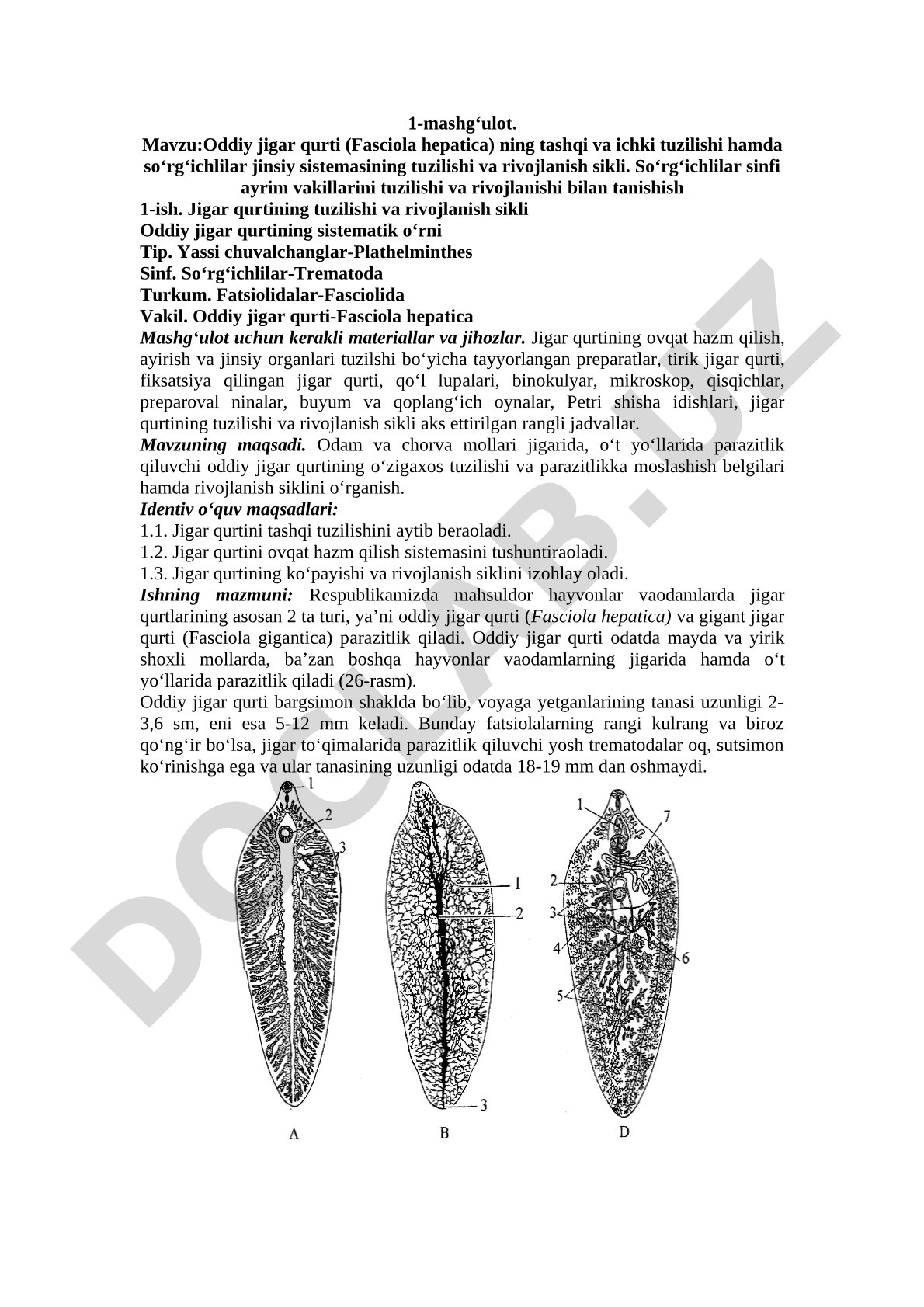 Oddiy jigar qurti (Fasciola hepatica) tashqi va ichki tuzilishi va rivojlanish sikli