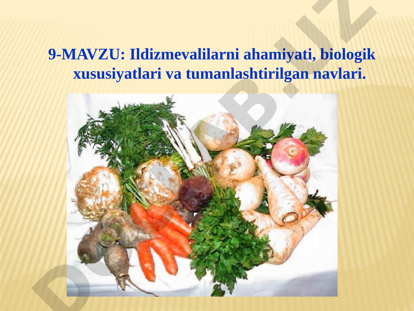 Ildizmevalilarni ahamiyati, biologik xususiyatlari va tumanlashtirilgan navlari